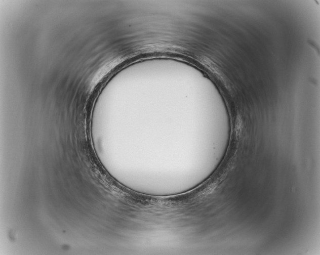 X0000102250877200808151815