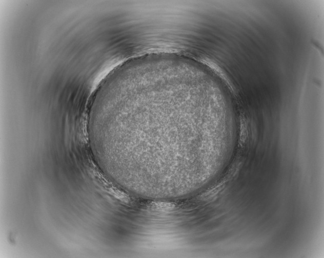 X0000102250878200808151815