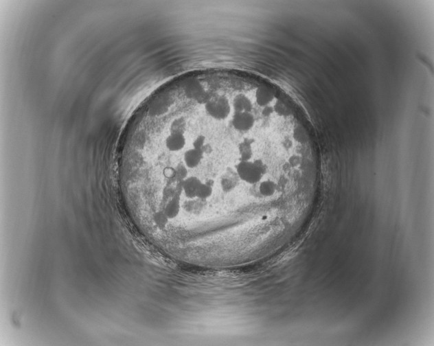 X0000102250879200808151815