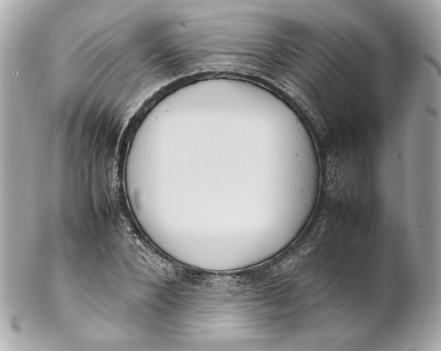 X0000102250880200808151815