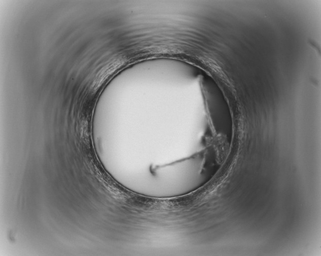 X0000102250881200808151815