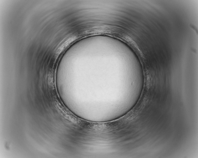 X0000102250882200808151815