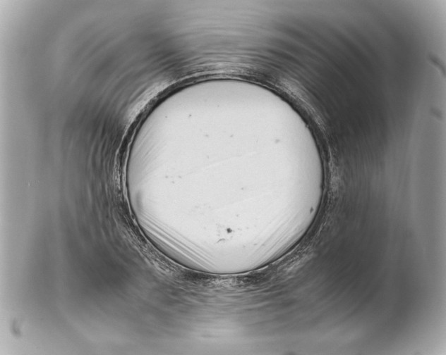 X0000102250883200808151815