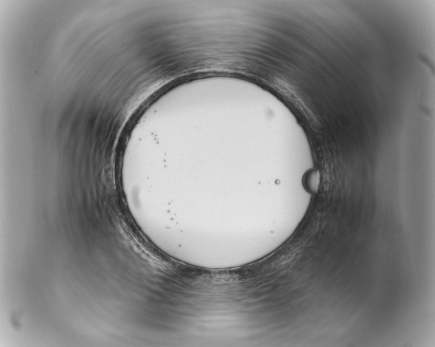 X0000102250884200808151815