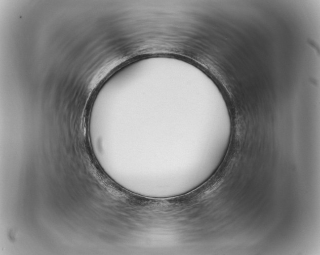 X0000102250885200808151815