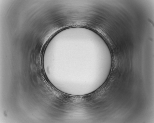 X0000102250886200808151815