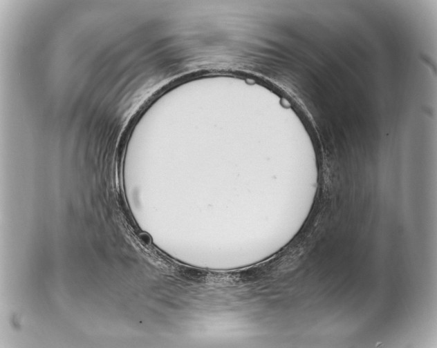 X0000102250887200808151815