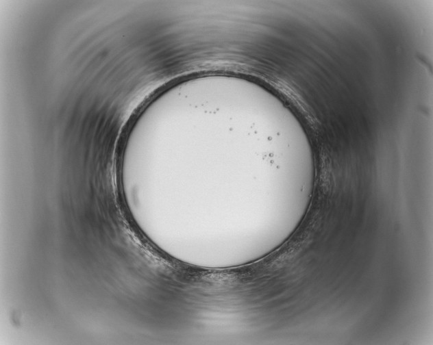 X0000102250888200808151815