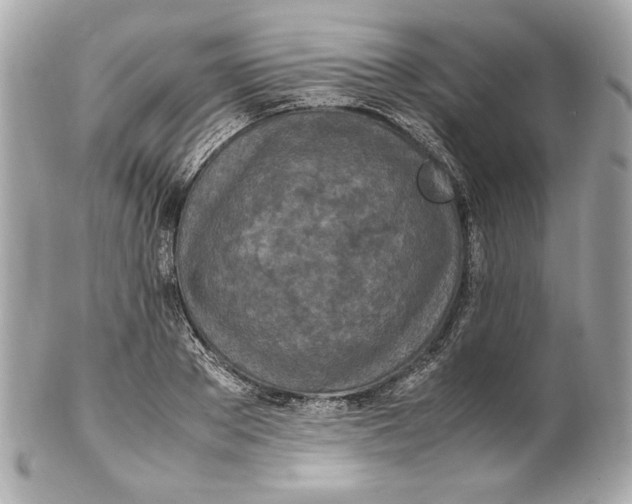 X0000102250889200808151815