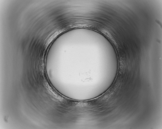 X0000102250890200808151815