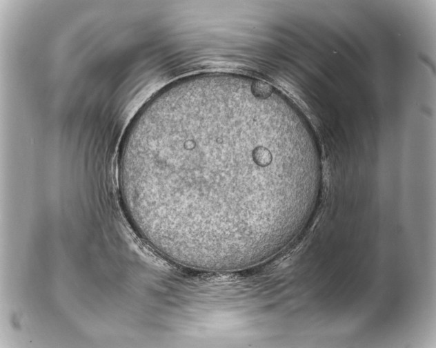 X0000102250891200808151815