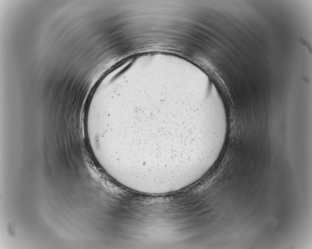 X0000102250892200808151815