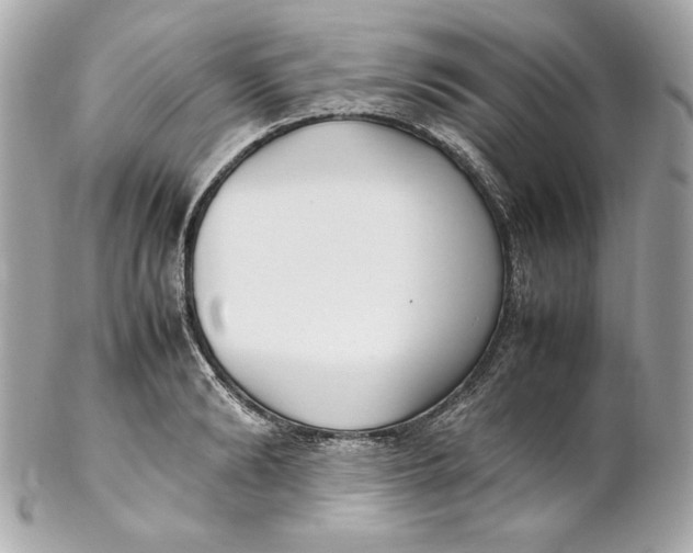 X0000102250894200808151815