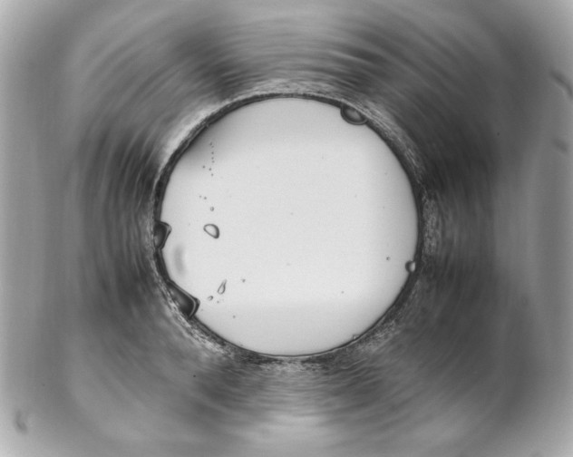 X0000102250896200808151815