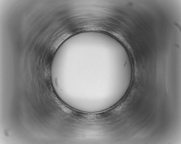 X0000102250897200808151814