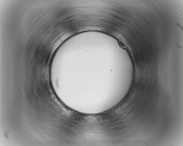 X0000102250898200808151814