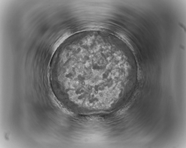 X0000102250899200808151814