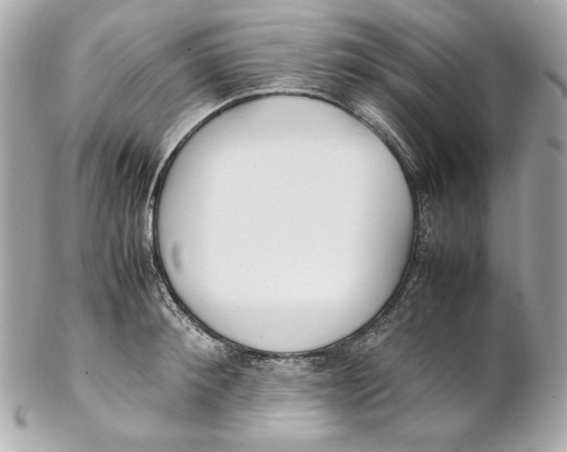 X0000102250900200808151814