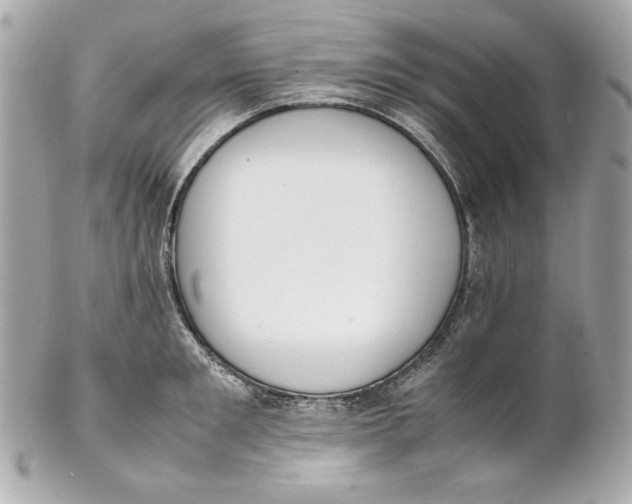 X0000102250901200808151814