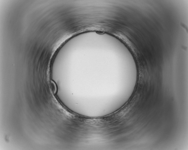 X0000102250902200808151814