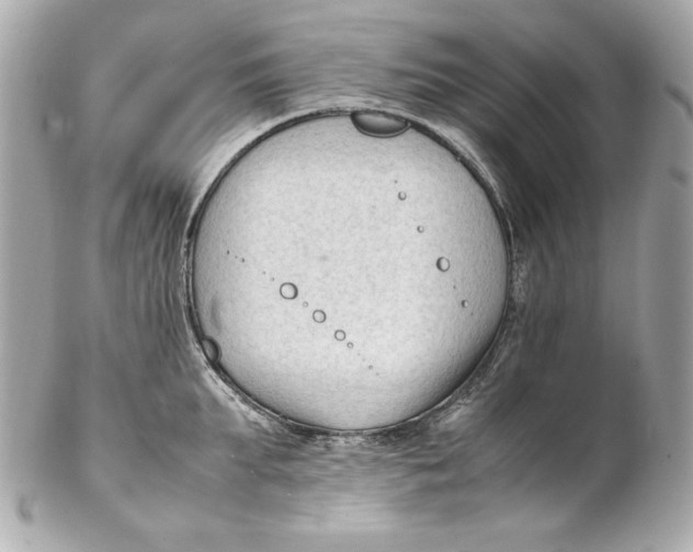 X0000102250903200808151814