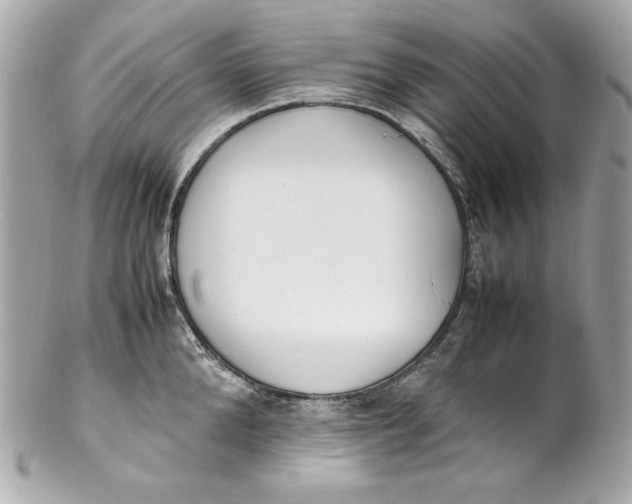 X0000102250904200808151814