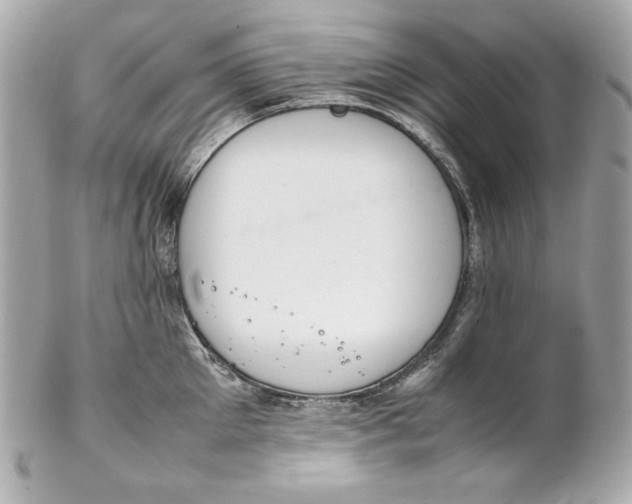 X0000102250905200808151814