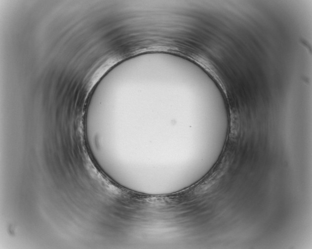 X0000102250906200808151814