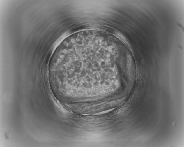 X0000102250907200808151814