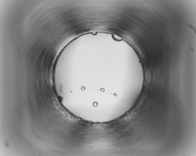 X0000102250908200808151814