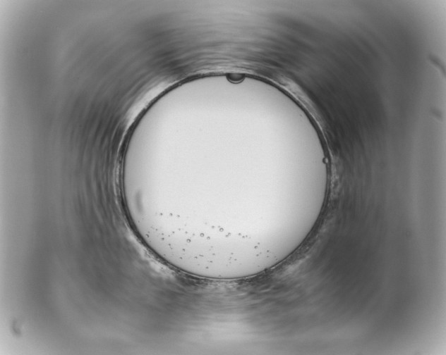 X0000102250909200808151814