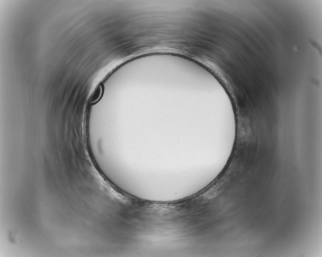 X0000102250910200808151814