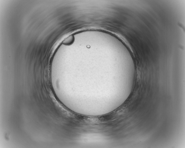 X0000102250911200808151814