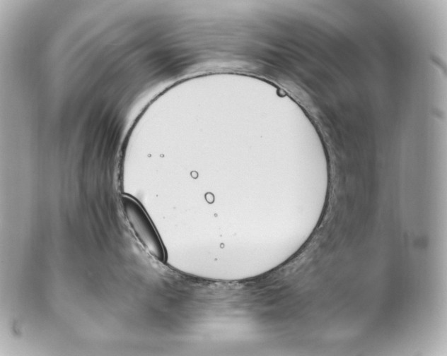 X0000102250912200808151814