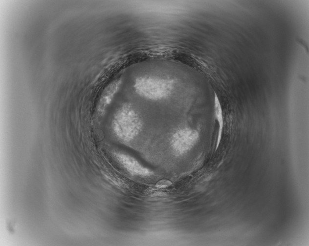 X0000102250913200808151813