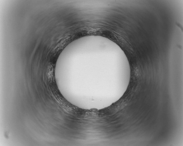 X0000102250914200808151813