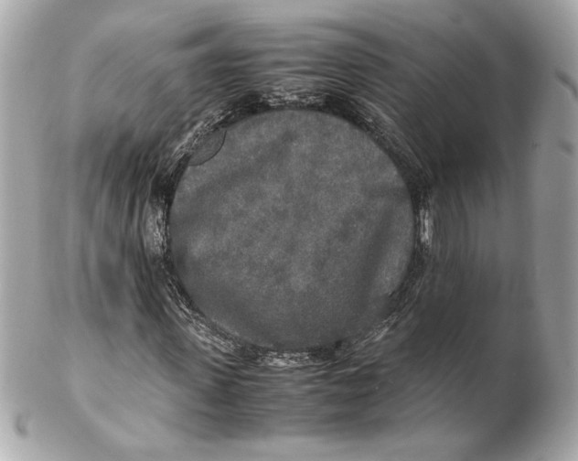 X0000102250915200808151813