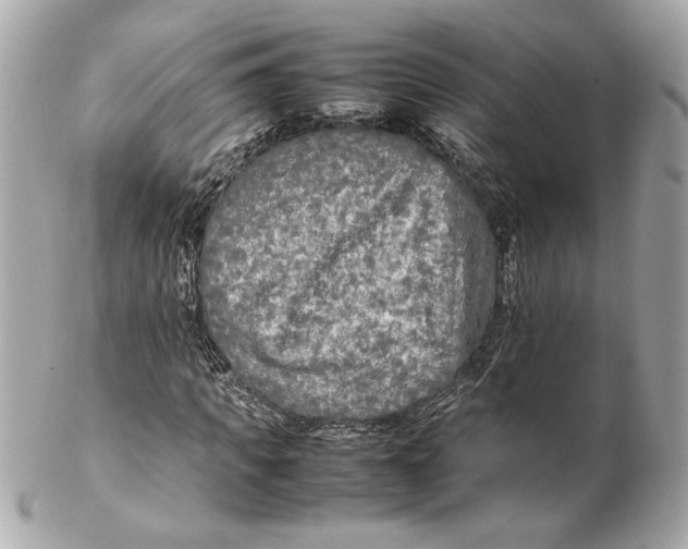 X0000102250917200808151813