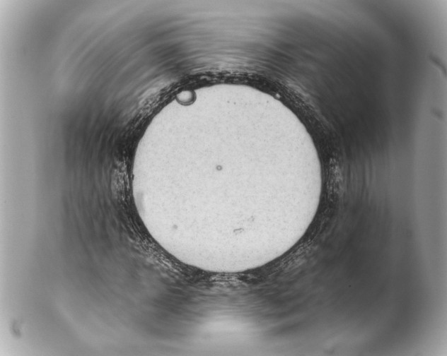 X0000102250918200808151814