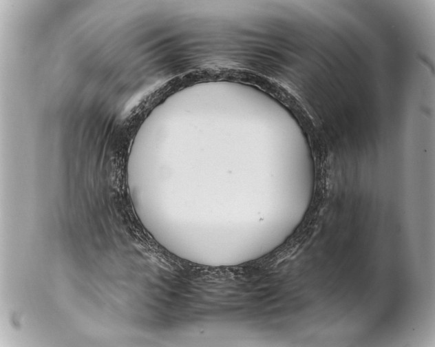 X0000102250919200808151814