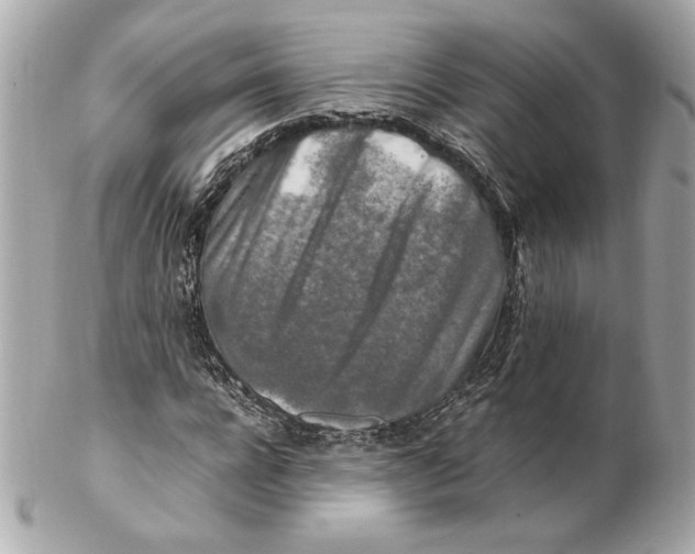 X0000102250920200808151814