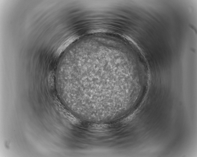 X0000102250921200808151814