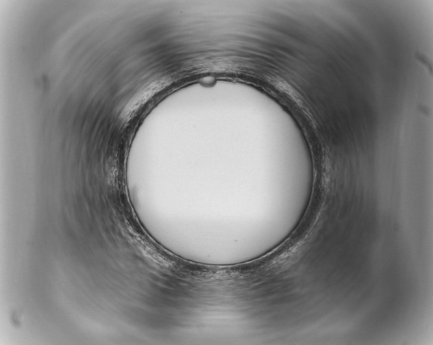 X0000102250922200808151814