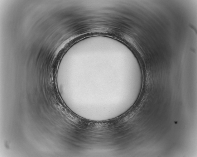 X0000102250923200808151814