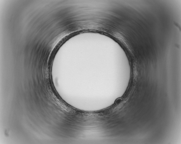 X0000102250924200808151814