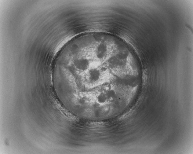 X0000102250925200808151814