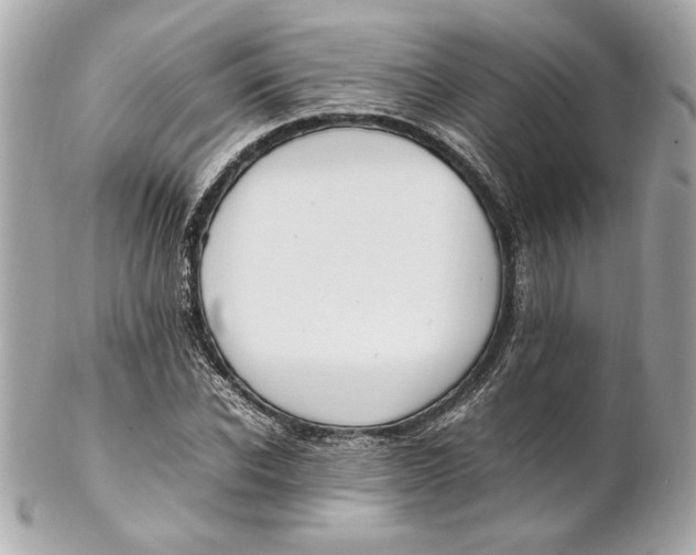 X0000102250926200808151814