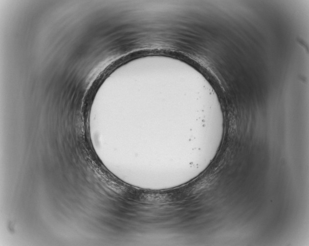 X0000102250927200808151814