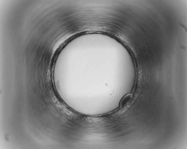 X0000102250928200808151814