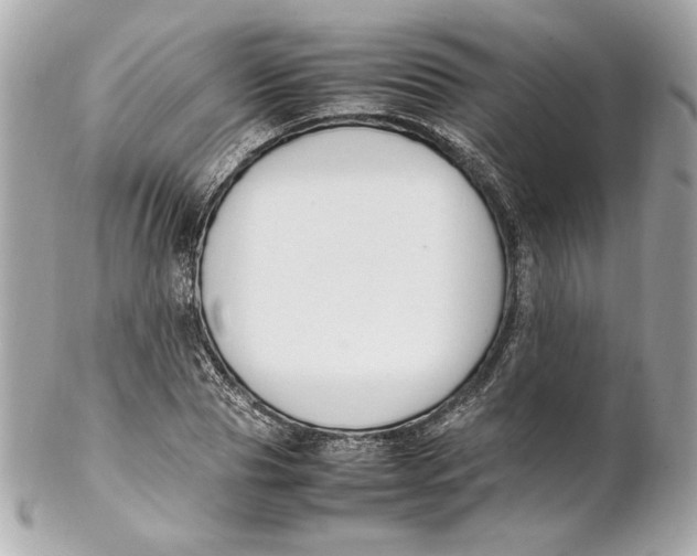 X0000102250929200808151814